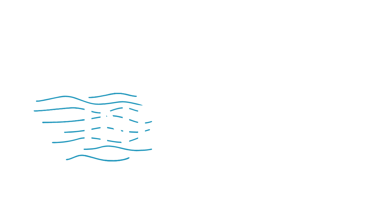 Naval Industria Logo